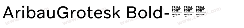 AribauGrotesk Bold字体转换